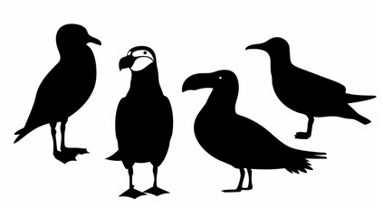 Naklejka premium Silhouette illustration of four birds with distinctive beaks standing in various poses on a white background