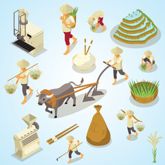 Isometric Detailed Rice Cultivation and Harvesting Process Set Illustration