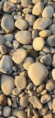 Smooth pebbles cover the ground along a riverbank at sunset in a tranquil setting