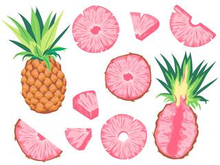 Pink Pineapple Illustration. Pinkglow Pineapple.  Exotic Tropical Fruit