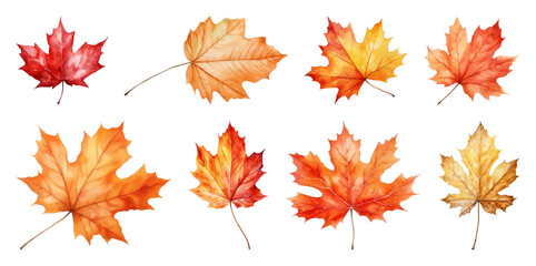 Fototapeta premium Vibrant autumn leaves watercolor illustration.