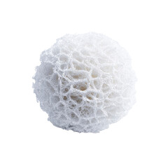 Close-up of a White, Textured, Spherical Loofah or Natural Sponge