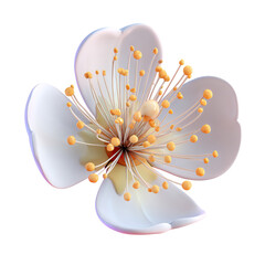 White Flower Blossom Macro Shot with Spring Bloom.