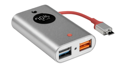 Portable power bank with charging ports