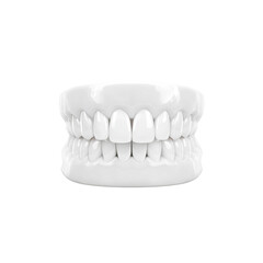 Obraz premium Perfect White Teeth 3D Render of a Full Set of Human Teeth