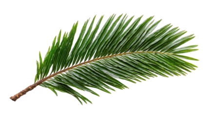 Ornamental Green Leaf Branch With Sparkling Details