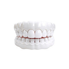 Obraz premium Perfect White Teeth Model - Dental Prosthetic Close-up