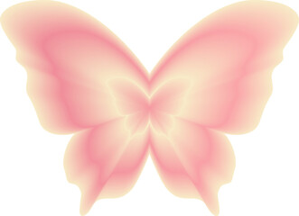 Y2k Gradient Butterfly