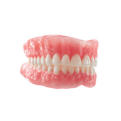 Obraz premium Complete Denture Side Profile of a Full Set of Artificial Teeth