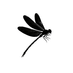 Silhouette of a delicate dragonfly with large wings in a dynamic pose symbolizing nature and freedom