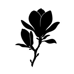 Obraz premium Elegant black silhouette of a magnolia flower branch with blossoms and leaves