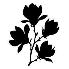 Obraz premium Elegant silhouette of magnolia blossoms on a branch delicate floral design symbolizing spring and beauty