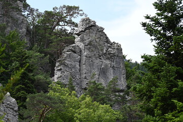 les sucettes de bornes