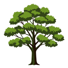Lush green deciduous tree with brown trunk and detailed branches for nature and landscape scenes