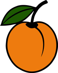 Single Apricot in Orange Body Green Leaf and Brown Stem