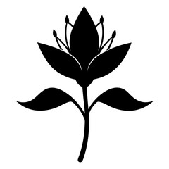 queen cup clintonia uniflora