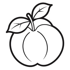 quince chaenomeles vector line art on white