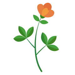  rue flower vector on white background