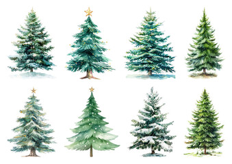 Fototapeta premium Watercolor Christmas trees illustration.