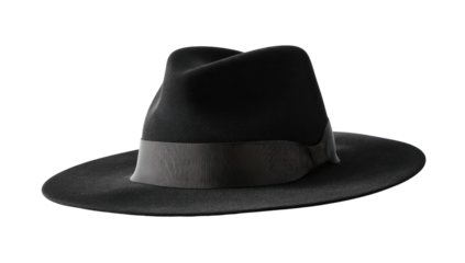 Dark gray fedora hat
