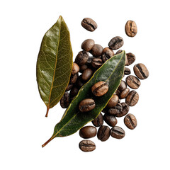 Coffee beans and bay leaves