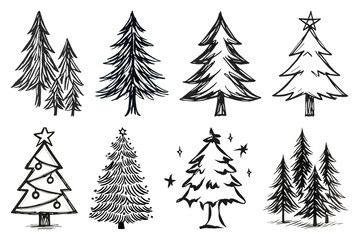 Obraz premium Hand-drawn evergreen tree illustrations.