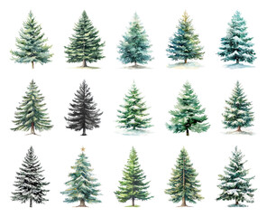Obraz premium Diverse illustrated evergreen trees collection.
