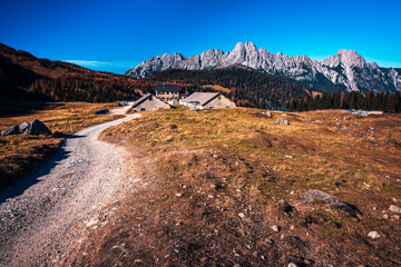 Autumn. Brushstrokes of colour paint the larch forests of the Carnic Alps. Sauris and Casera Razzo