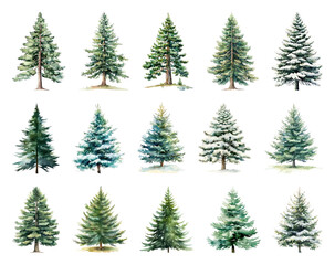 Fototapeta premium Diverse watercolor evergreen tree illustrations.