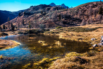 Autumn. Brushstrokes of colour paint the larch forests of the Carnic Alps. Sauris and Casera Razzo