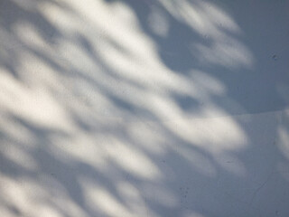 Soft tree shadow patterns on gray concrete wall outdoors