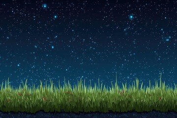 Night sky above a grassy field