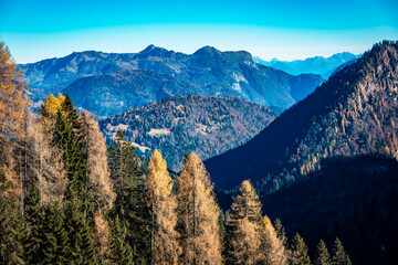 Autumn. Brushstrokes of colour paint the larch forests of the Carnic Alps. Sauris and Casera Razzo