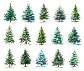 Obraz premium Watercolor evergreen trees collection.