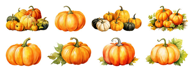Vibrant pumpkins in autumn arrangements.