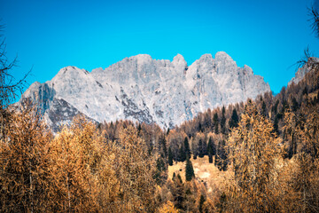 Autumn. Brushstrokes of colour paint the larch forests of the Carnic Alps. Sauris and Casera Razzo