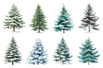 Obraz premium Watercolor evergreen trees winter