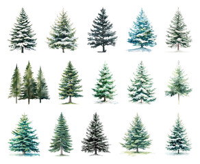 Fototapeta premium Diverse watercolor evergreen tree illustrations.