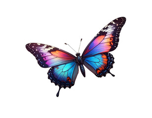 Obraz premium Butterflies in flight 