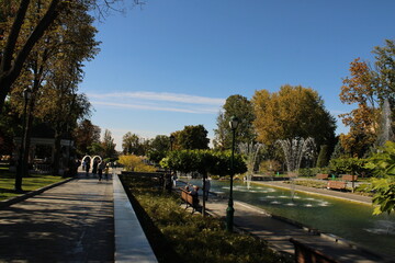 park in autumn