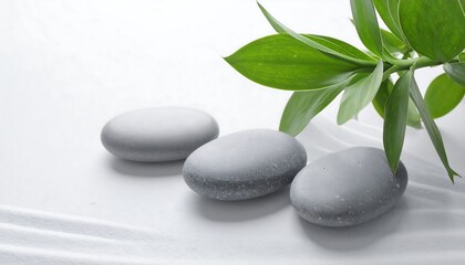 Calm stones and bamboo leaves