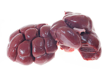 Cow kidneys on a white background