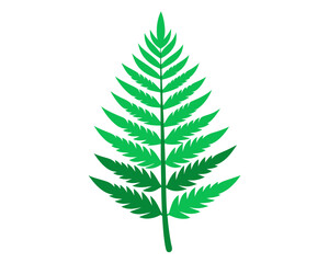 Stylized green fern leaf illustration on white background © MihirKumarMondal