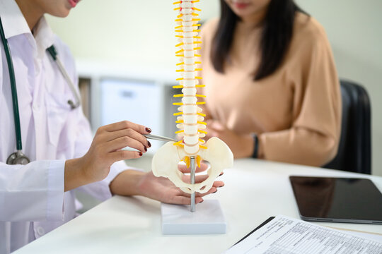 Doctor showing model of the spine while consulting patient in clinic