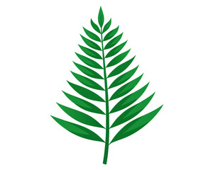 Green palm leaf illustration on white background
