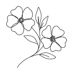 line drawing of floral element