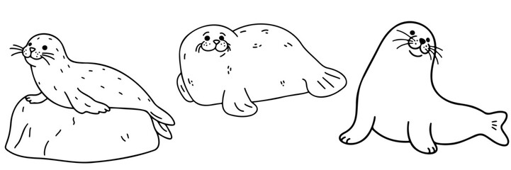 Obraz premium Three cartoon seals lounging on rocks in a simple line art style 