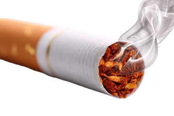 Close-up View of a Lit Cigarette with Smoke on a Transparent Background