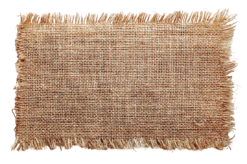 Beige Textured Rectangular Rug