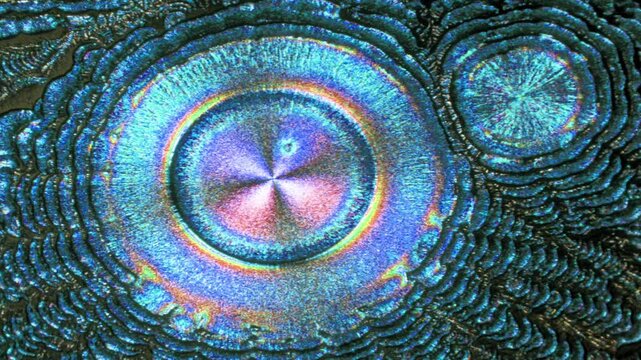 Vitamin C crystal under the microscope